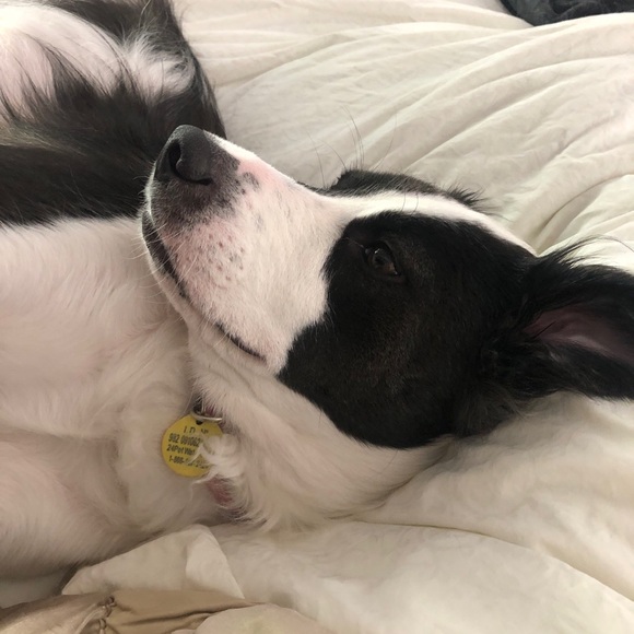 Meet your Posher, Robbin - Picture 2 of 5